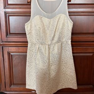 Metallic gold and cream fit and flare dress